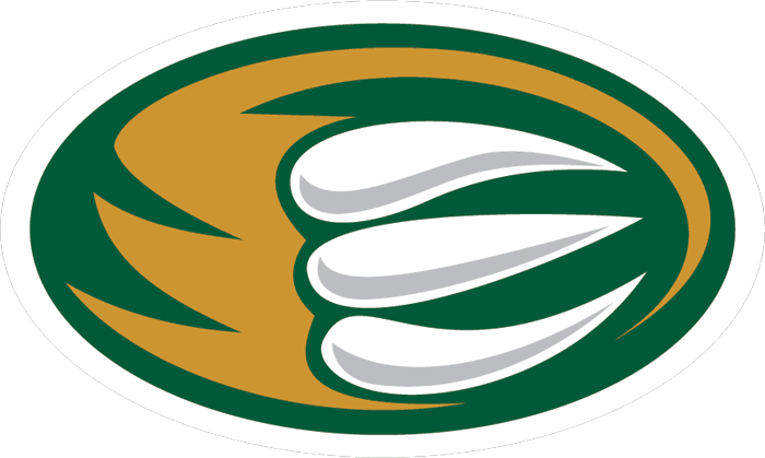 Everett Silvertips 2003 04-Pres Alternate Logo vinyl decal